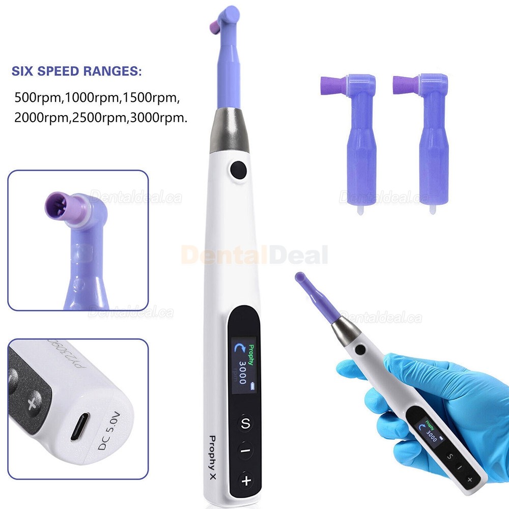 Electric Dental Hygiene Prophy Handpiece 360&deg; Swivel + 2 Prophy Angles